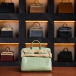 Hermès Birkin 20 Vert d'Eau Gold Hardware Crocodile matte 2023 New Full Set - Exotic Boutique Dubai