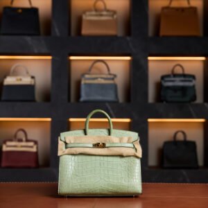 Hermès Birkin 20 Vert d'Eau Gold Hardware Crocodile matte 2023 New Full Set - Exotic Boutique Dubai