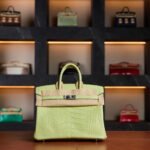 Hermès Birkin 25 Jaune Bourgeon Matte Crocodile Leather with Palladium Hardware - 2025 Full Set - Exotic Boutique Dubai