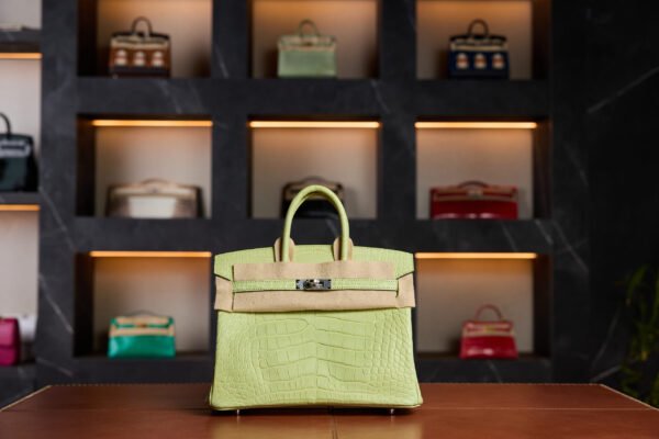 Hermès Birkin 25 Jaune Bourgeon Matte Crocodile Leather with Palladium Hardware - 2025 Full Set - Exotic Boutique Dubai