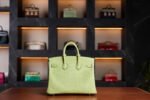 Hermès Birkin 25 Jaune Bourgeon Matte Crocodile Leather with Palladium Hardware - 2025 Full Set - Exotic Boutique Dubai