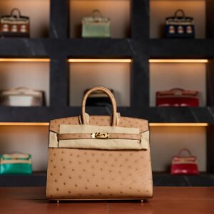 Hermès Birkin 25 Gold Ostrich Leather with Gold Hardware - 2025 Full Set - Exotic Boutique Dubai