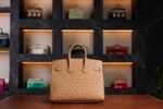 Hermès Birkin 25 Gold Ostrich Leather with Gold Hardware - 2025 Full Set - Exotic Boutique Dubai