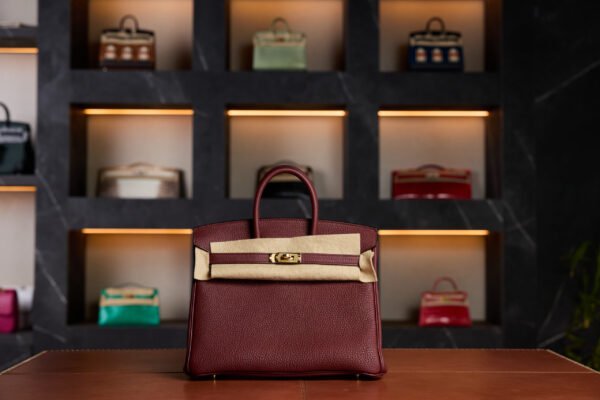 Hermès Birkin 25 Rouge H Togo Leather with Gold Hardware - 2025 New Full Set - Exotic Boutique Dubai