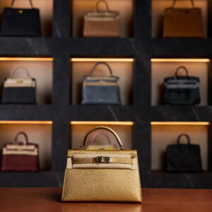 Mini Kelly Metallic Gold Gold Hardware New Full Set 2025